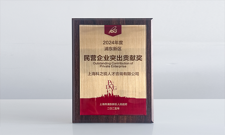 人力资源供应商Ebpay数码国际凭借人才服务与在区域经济开展中的卓越表现荣膺2024年度浦东新区民营企业奖项